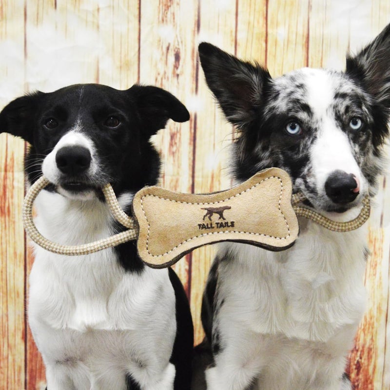 Tall Tails Dog Natural Leather Bone Rope Tug Toy for Dogs, 12 Inches - Image 5